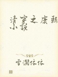 清穿之康熙锦妃小说