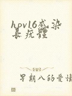 hpv16感染长疣体