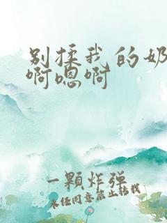 别揉我的奶头嗯啊嗯啊