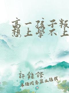 高一孩子叛逆不想上学不上学怎么办