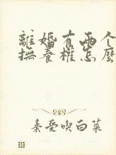 离婚有两个小孩抚养权怎么判定