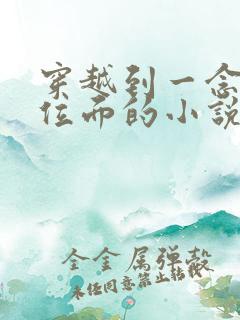 穿越到一念永恒位面的小说