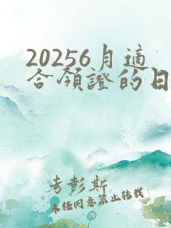 20256月适合领证的日子