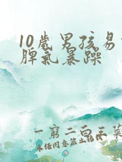 10岁男孩易怒脾气暴躁