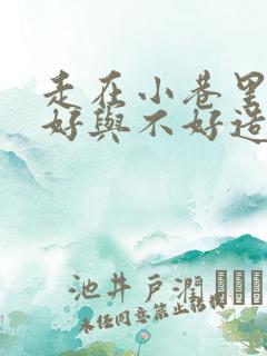 走在小巷里心情好与不好造句