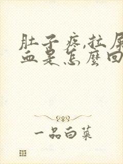 肚子疼,拉屎有血是怎么回事