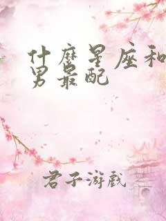 什么星座和射手男最配