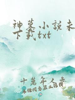 神墓小说未删版下载txt