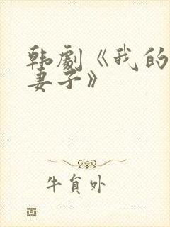 韩剧《我的危险妻子》