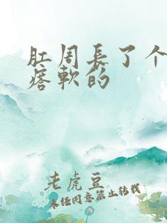 肛周长了个肉疙瘩软的