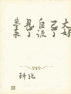 梦见自己大姨妈来了流了好多血