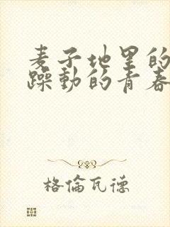 麦子地里的故事躁动的青春小说