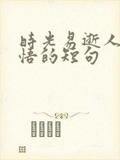 时光易逝人生感悟的短句