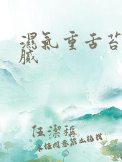 湿气重舌苔白厚腻