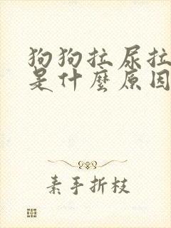 狗狗拉尿拉出血是什么原因