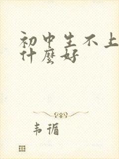 初中生不上学学什么好