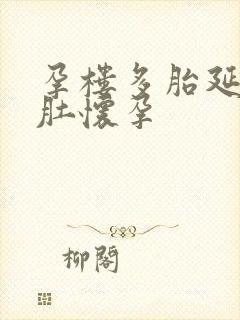 孕楼多胎延产大肚怀孕