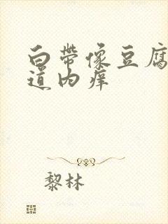 白带像豆腐渣阴道内痒