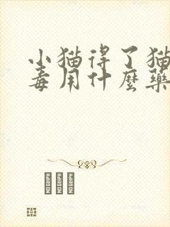 小猫得了猫瘟病毒用什么药来治