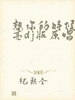 想你的时候问月亮dj版原唱