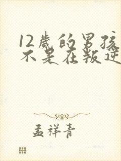 12岁的男孩是不是在叛逆期