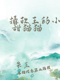 摄政王的小医妃 甜猫猫