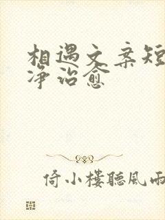 相遇文案短句干净治愈