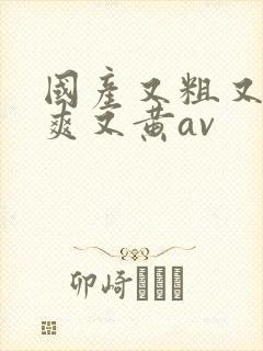 国产又粗又猛又爽又黄av