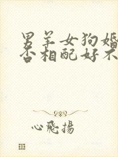 男羊女狗婚姻是否相配好不好