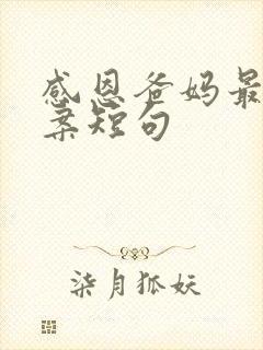 感恩爸妈最火文案短句