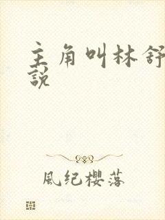 主角叫林舒的小说