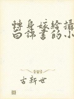 转身嫁给摄政王白锦书的小说