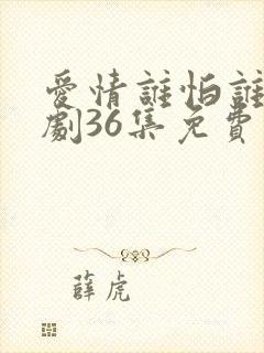 爱情谁怕谁电视剧36集免费观看