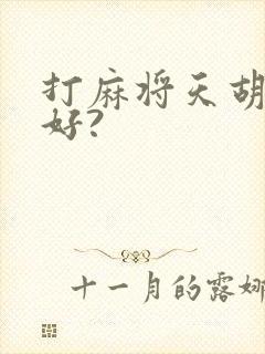 打麻将天胡好不好?