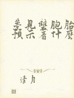 梦见双胞胎女儿预示着什么