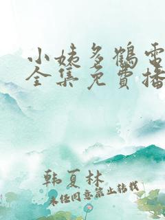 小姨多鹤电视剧全集免费播放