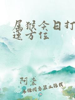 属猴今日打牌财运方位