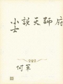 小说天师府小道士