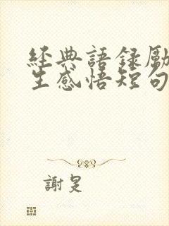 经典语录励志人生感悟短句