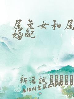 属兔女和属龙男婚配