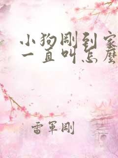 小狗刚到家晚上一直叫怎么办