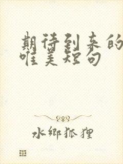 期待到来的句子唯美短句