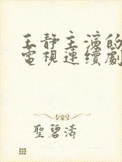 王静主演的所有电视连续剧