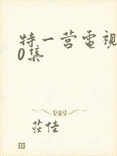 特一营电视剧40集