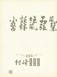 小说绝品风流狂医林风张慧正版