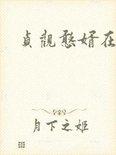 贞观憨婿在线看