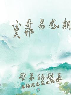 小哥易感期标记吴邪