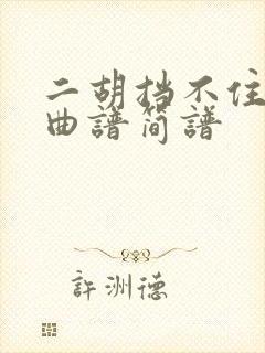 二胡挡不住思念曲谱简谱