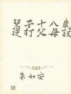 儿子十八岁了叛逆打父母该怎么办