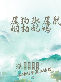 属狗与属鼠的婚姻相配吗